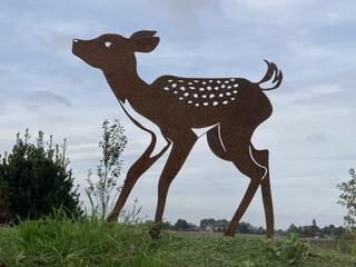 AC44 - Faon tête levée